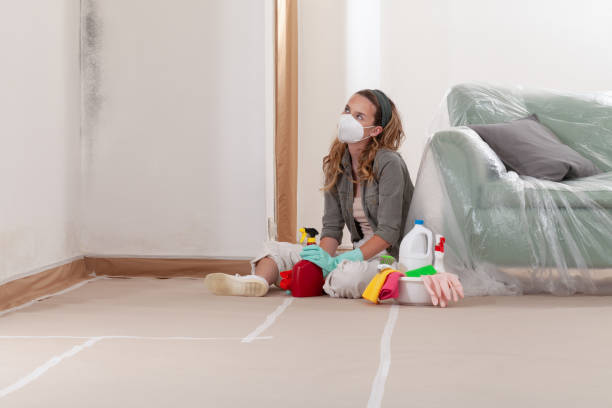 Reliable Commercial Mold Remediation contractor in North Reading, MA by WQB Mold Removal