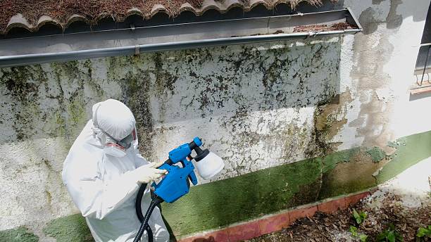 Top rated local Commercial Mold Remediation specialists in North Reading, MA